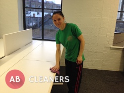 Commercial Office Cleaner Sanitising