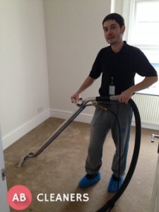 Expert Carpet Cleaner During Session