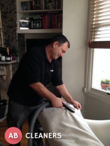AB Cleaner Maintainig Furniture